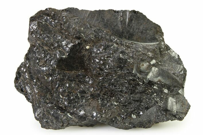 Lustrous Gilsonite Specimen - Uintah Basin, Utah #327032